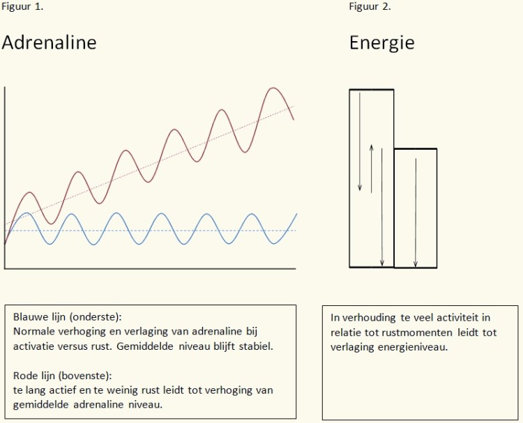 Adrenaline fig v2
